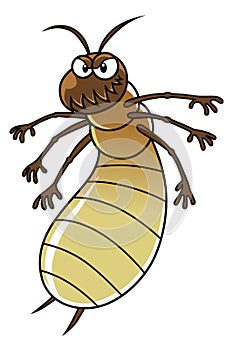 Termite