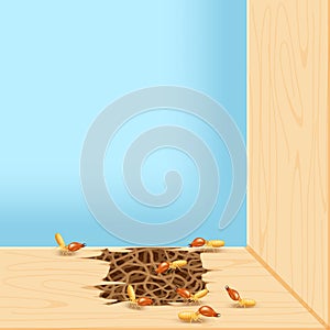 Termites at window, termite nest at wooden wall, nest termite at wood decay the door sill architrave, nest termite background