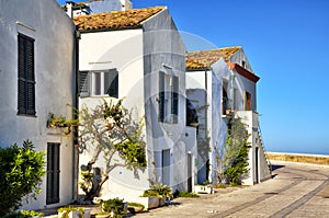 Termoli is a little town in the south of Italy with a charming medieval downtown