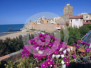 Termoli, Molise/Italy Cityscape of the old fishing village