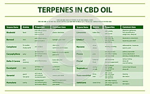 Terpenes in CBD Oil horizontal infographic