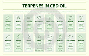 Terpenes in CBD Oil with Structural Formulas horizontal infographic