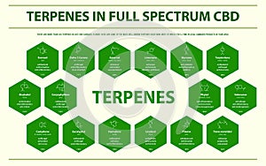 Terpenes in Full Spectrum CBD with Structural Formulas horizontal infographic