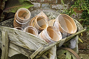 Terra cotta flower pots