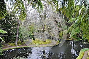 Terra Nostra,  beautiful park in Furnas