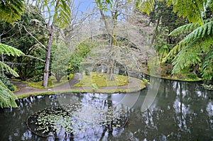 Terra Nostra,  beautiful park in Furnas