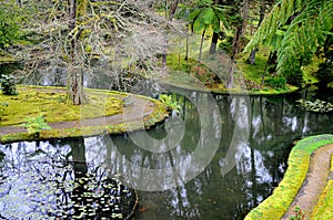 Terra Nostra,  beautiful park in Furnas