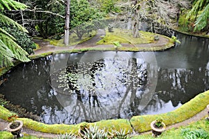 Terra Nostra,  beautiful park in Furnas