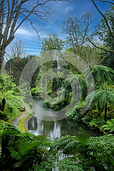 Terra Nostra,  beautiful park in Furnas