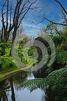 Terra Nostra,  beautiful park in Furnas