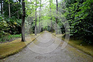 Terra Nostra botanical garden at Furnas, Azores, Portugal