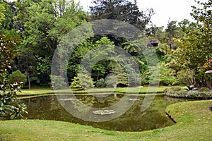 Terra Nostra botanical garden at Furnas, Azores, Portugal