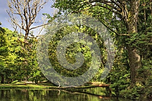 Terra Nostra Botanical Garden in Furnas, Sao Miguel Island, Portugal