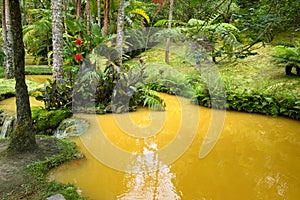 Terra Nostra Garden in Furnas town, Sao Miguel island, Azores, Portugal