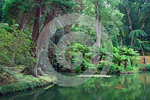 The Terra Nostra Garden on Sao Miguel island, Azores.