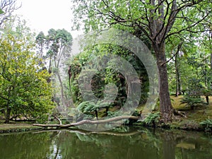 Terra Nostra Park, Azores Islands