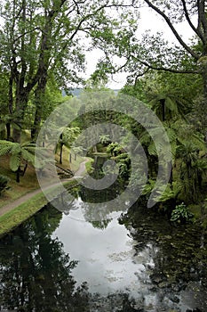 Terra Nostra Park, Sao Miguel island, Portugal