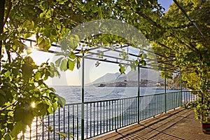 terrace on the beach with a pergola twined with grapes