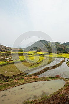 Terrace in china