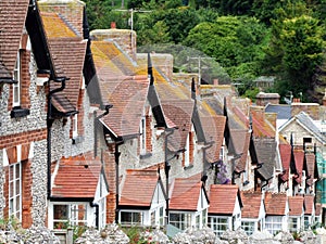 Terrace Cottage Roof tops