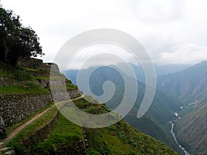 Terrace farmlands along Inca Trail, Peru