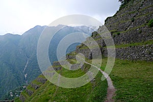 Terrace farmlands along Inca Trail, Peru