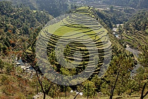 Terrace fields at Almora, Uttarakhand, India