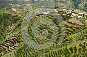 Terrace Fields - Luzon - Philippines