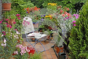 Terraza flores 