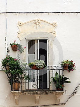 Terrace with flowers