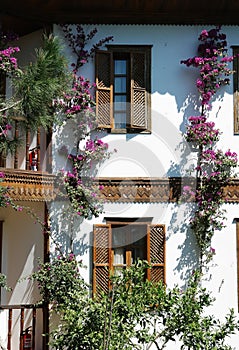Terrace and flowers in hotel.