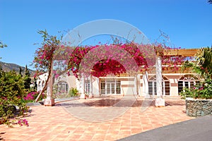 Terrace with flowers at luxury hotel