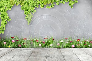 Terrace and fresh green grass against color background