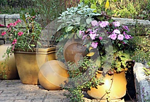 Terrace garden with pot plants