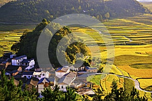 Terrace at guizhou china