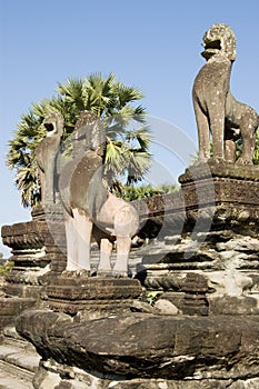 Terrace of Honour, Angkor Wat photo