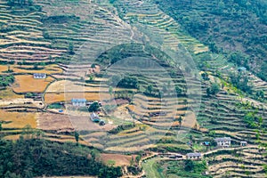 Terrace land in Nepal, agriculture and houses on terraces