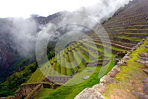 Terrace at Machu Pichu