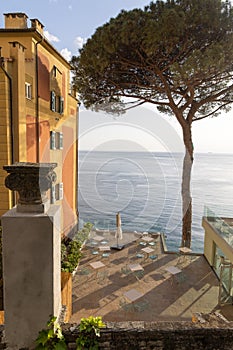 Terrace with outdoor cafe facing Mediterranean sea  in Camogli