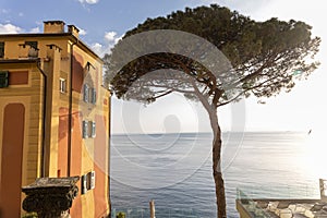 Terrace with outdoor cafe facing Mediterranean sea in Camogli