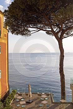 Terrace with outdoor cafe facing Mediterranean sea  in Camogli