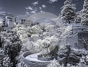 Terrace over the El Tajo ravine.