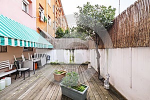 Terrace patio of a house on the ground floor with some plants and unvarnished acacia wood floors, white and green two-tone awning