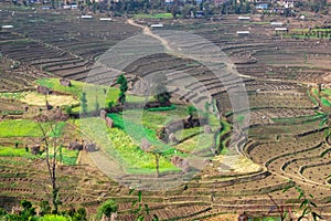 Terrace rice farm barren after harvest season in Nepal