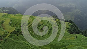 Terrace rice field in China