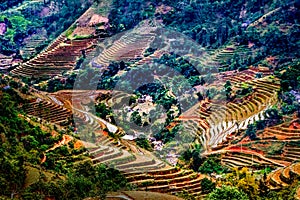 Terrace ricefield in Hoang Lien Son Mountain Range, North of Vietnam.