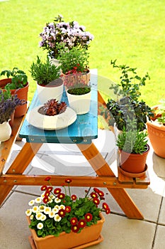 Terrace or roof gardening