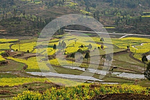 Terrace scene in china