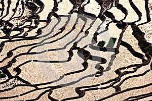 Terrace in the setting sun