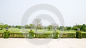 Terrace with vines and lattern